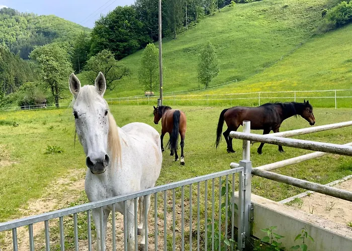 Kaltenberger Κατάλυμα σε φάρμα