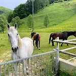 Kaltenberger Gospodarstwo agroturystyczne